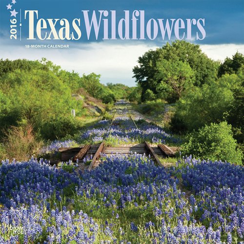 Texas Wildflowers 2016 Square 12x12