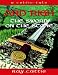 Books : Ard Righ: The Sword on the Stone