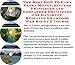 dandruff17  - The Ultimate How To Earn Extra Money Marketing