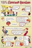 Classroom Questions Grammar and Usage Poster (TEFL / ELT / ESL / ESOL)