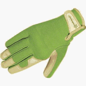 MED WMNS LTHR Glove