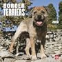 Border Terriers 2010 Square Wall