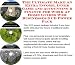 The Ultimate Make An Extra Income, Inner Game and Accounting & Finance for Work At Home Guides Web Businesses 3 CD Power Pack