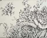 New Black Toile French Country Duvet Cover Comforter 3 pc Queen Set