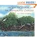 The Sea, the Storm, and the Mangrove Tangle