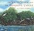 The Sea, the Storm, and the Mangrove Tangle