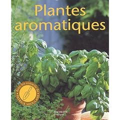Plantes aromatiques