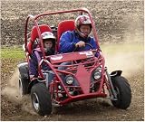 Familygokarts Adventure Blazer 250
