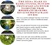 The Best Earn More Money, Marketing and Inner Game for Tear Resistant Mailers On-line Businesses 3 Course Pack