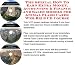 Book The Special How To Earn Extra Money, Accounting & Finance and Sales Models for Animal Flash Cards Web Biz 3 CD Course
