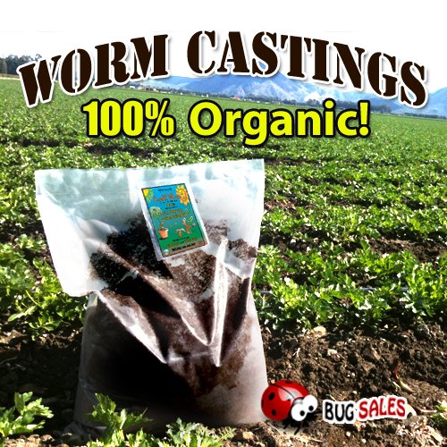 Earthworm Castings 25 Pounds - 100% Organic - Natures Soil Amendment for Indoors & Outdoors