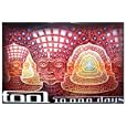 TOOL BEING 10000 JUMBO POSTER