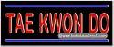 Tae Kwon Do Neon Sign