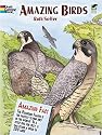 Amazing Birds (Dover Pictorial Archive)