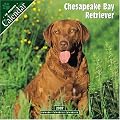 Chesapeake Bay Retriever 2007 Wall Calendar