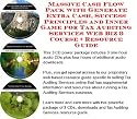 The Secret How To Earn Extra Money, Marketing and Inner Game for Tax Auditing Services Web Biz 3 CD Course