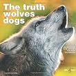 The truth about wolves and dogs: Dispelling the myths of dog training