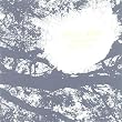 Field Recordings From...