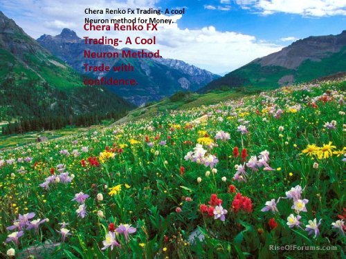 Chera RenkoFX Method-A cool Neuron Money Maker in Forex