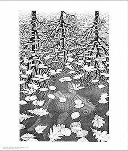 Three Worlds By Mc Escher Best Quality Art Print Poster - Size: 11 X 14