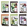 Yummy Cards