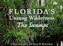 Florida's Unsung Wilderness: The Swamps