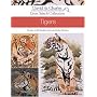 Tigers (Cross Stitch Collection)