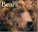 Book Bears 2007 (Calendar)
