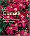 Clematis: Inspiration, Selection, and Practical Guidance
