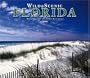 Wild & Scenic Florida Deluxe 2006 Calendar