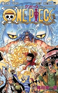 ONE PIECE 65