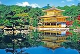 1000ピース 新緑の金閣寺 71-352
