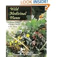 Wild Medicinal Plants by  Anny Schneider
