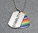 Moluss® 2PCS Equality Pride Rainbow Dog Tag LGBT Jewelry - Stainless Steel Gay and Lesbian Pride Pendant Necklace