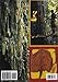 Plant Resins: Chemistry, Evolution, Ecology, and Ethnobotany