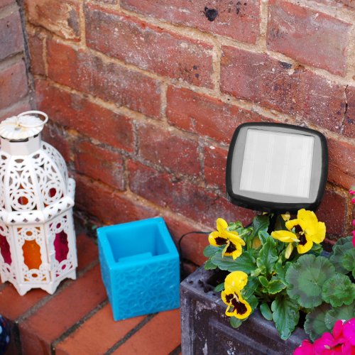 Imagen 3 de Blingstring SS9800