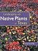 Landscaping with Native Plants of Texas