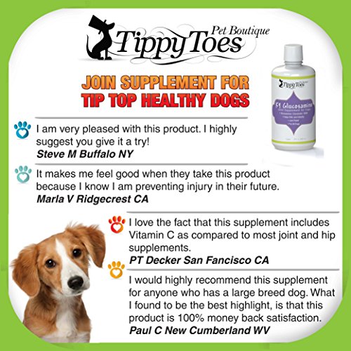 1 BEST Advanced Liquid GLUCOSAMINE for dogs Hip and Joint Supplement