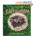 Earthworm (Life Cycle of A...)