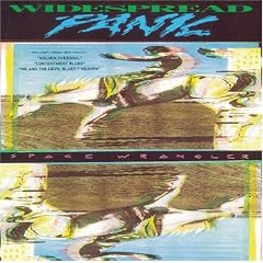 Widespread Panic Space Wrangler Album Cover