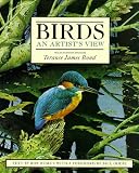 Birds: An Artist's View
