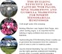 The Guerilla Marketing, Building Effective Lead Capture Web Pages, SIVA Marketing for Sports Memorabilia Businesses