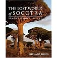 The Lost World of Socotra: Yemen's Island Of Bliss