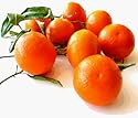 tangerine essential oil