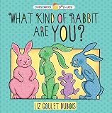 What Kind of Rabbit Are You? (Preschool Pop-Ups)