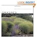 Grasses: Versatile Partners for Uncommon Garden Design