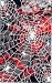 Spider Web Pinewood Derby Car Body Skin