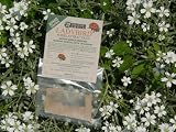 Wildlife World Ladybird Food Attractant LFA