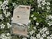 Outdoor Living : Wildlife World Ladybird Food Attractant LFA