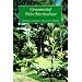 Ornamental Palm Horticulture